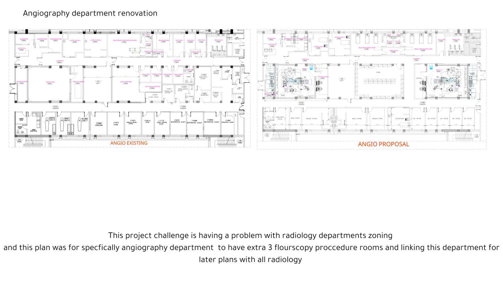 Angiography Renovation portfolio spread